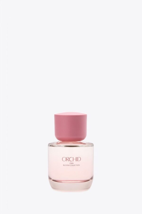 عطر zara orchid
