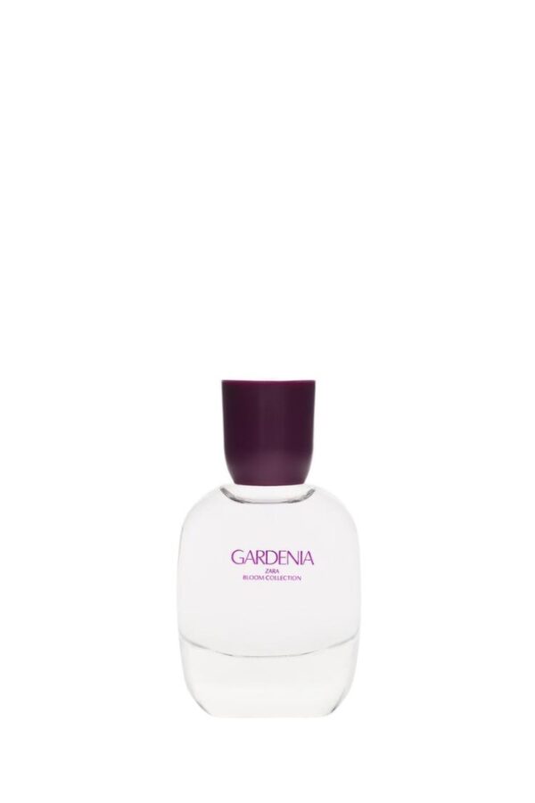 عطر zara gardenia